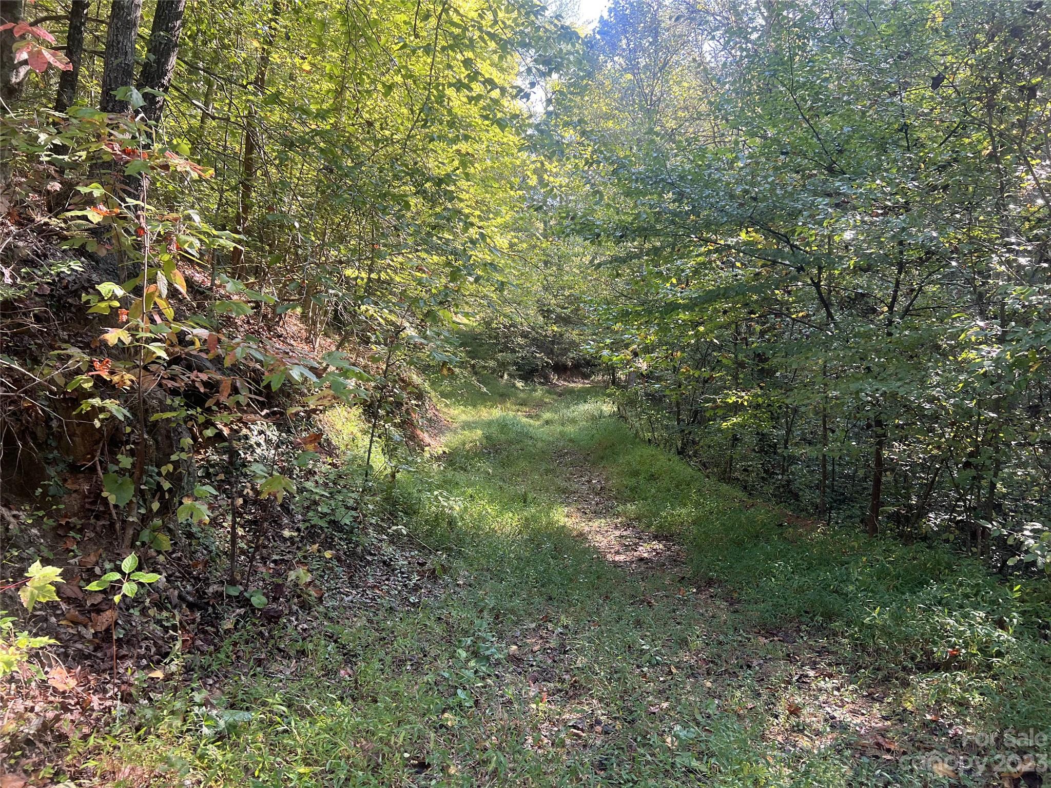 0 Roby Martin Road Lenoir, NC 28645 - Photo 33 of 37 Gallery Image 33