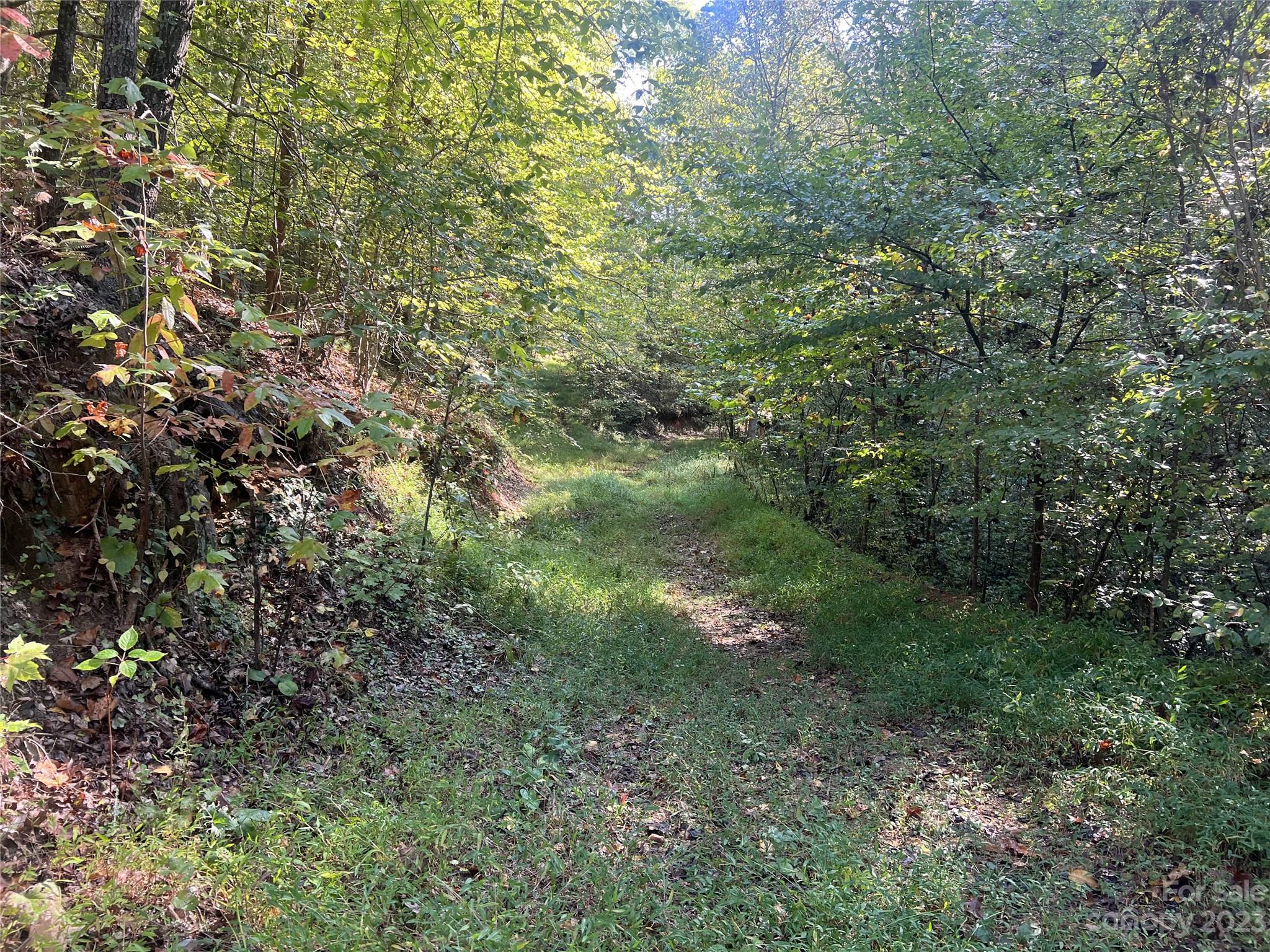 0 Roby Martin Road Lenoir, NC 28645 - Photo 35 of 37 Gallery Image 35