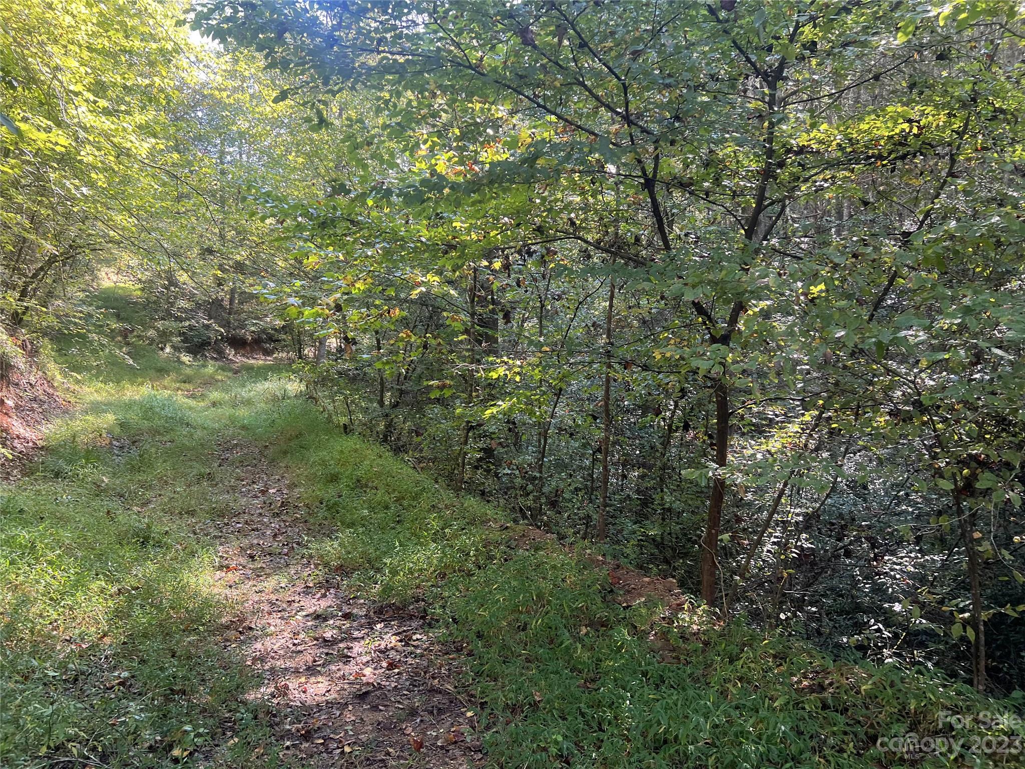 0 Roby Martin Road Lenoir, NC 28645 - Photo 36 of 37 Gallery Image 36