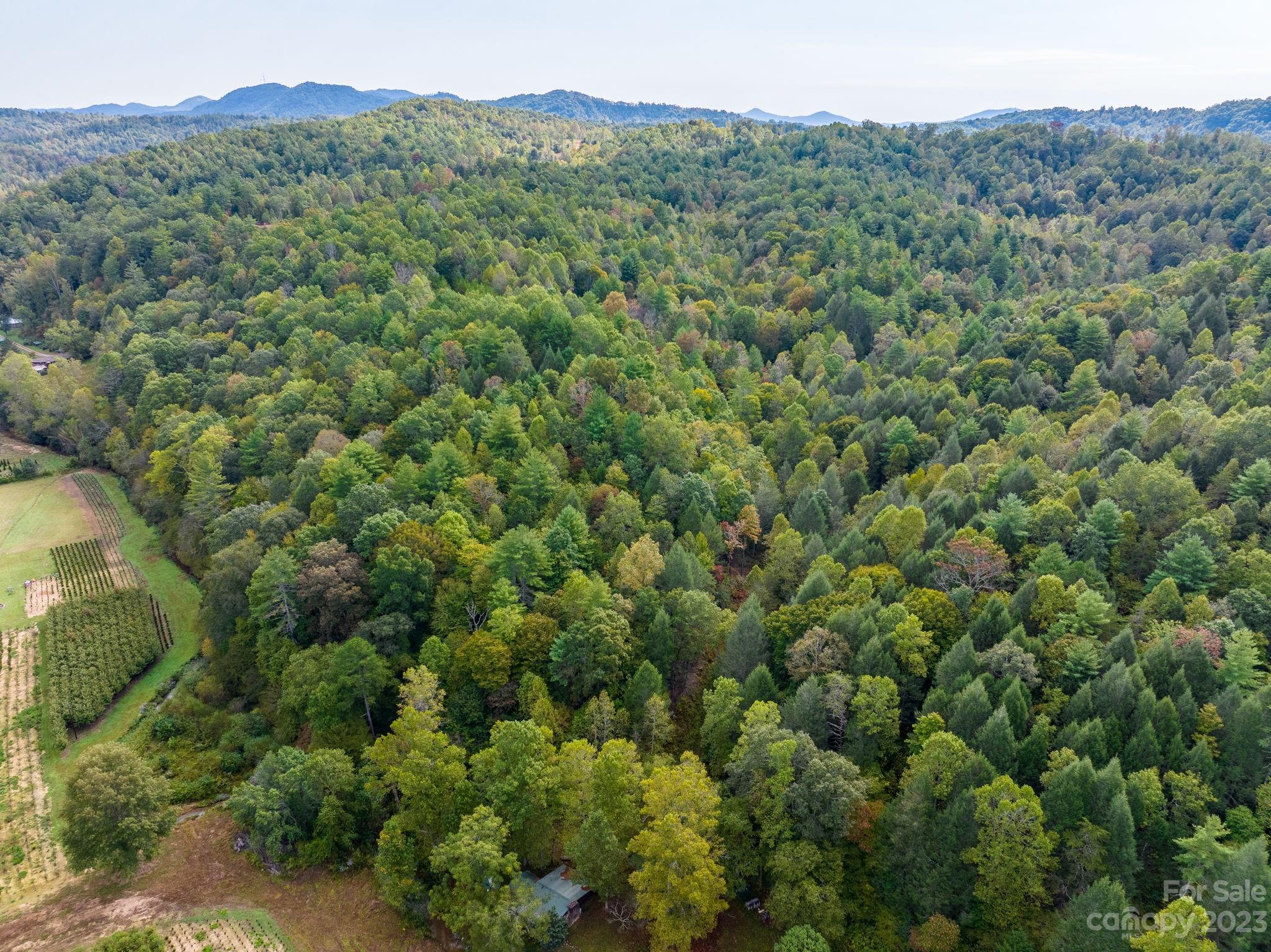 0 Roby Martin Road Lenoir, NC 28645 - Photo 4 of 37 Gallery Image 4