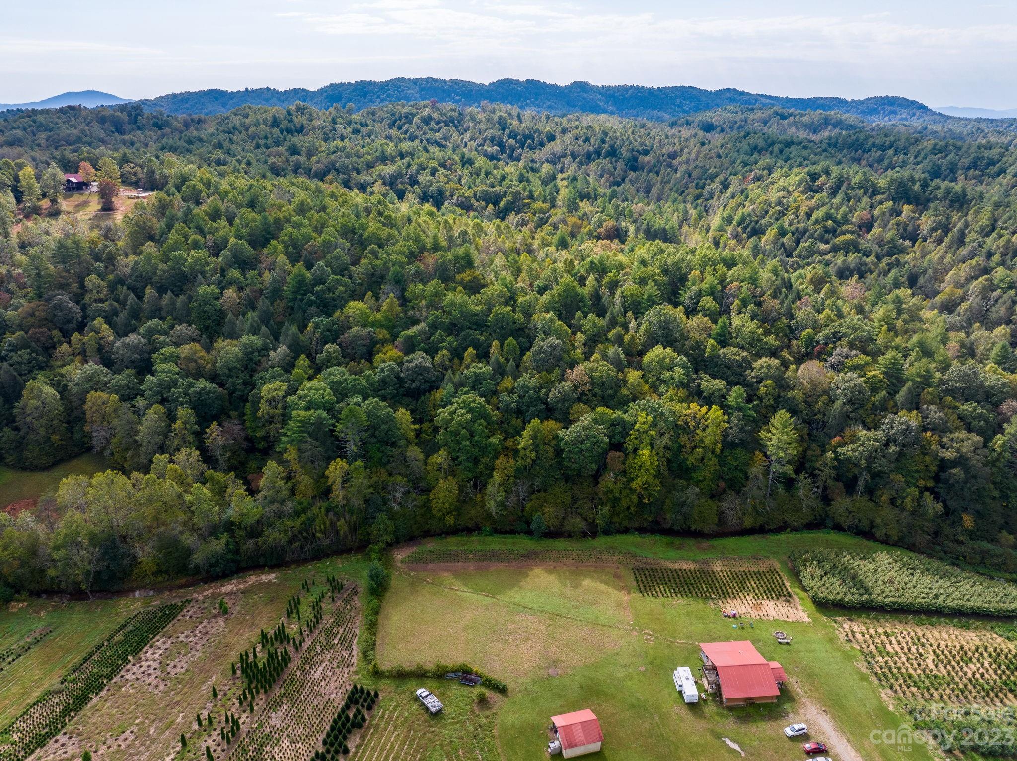 0 Roby Martin Road Lenoir, NC 28645 - Photo 5 of 37 Gallery Image 5