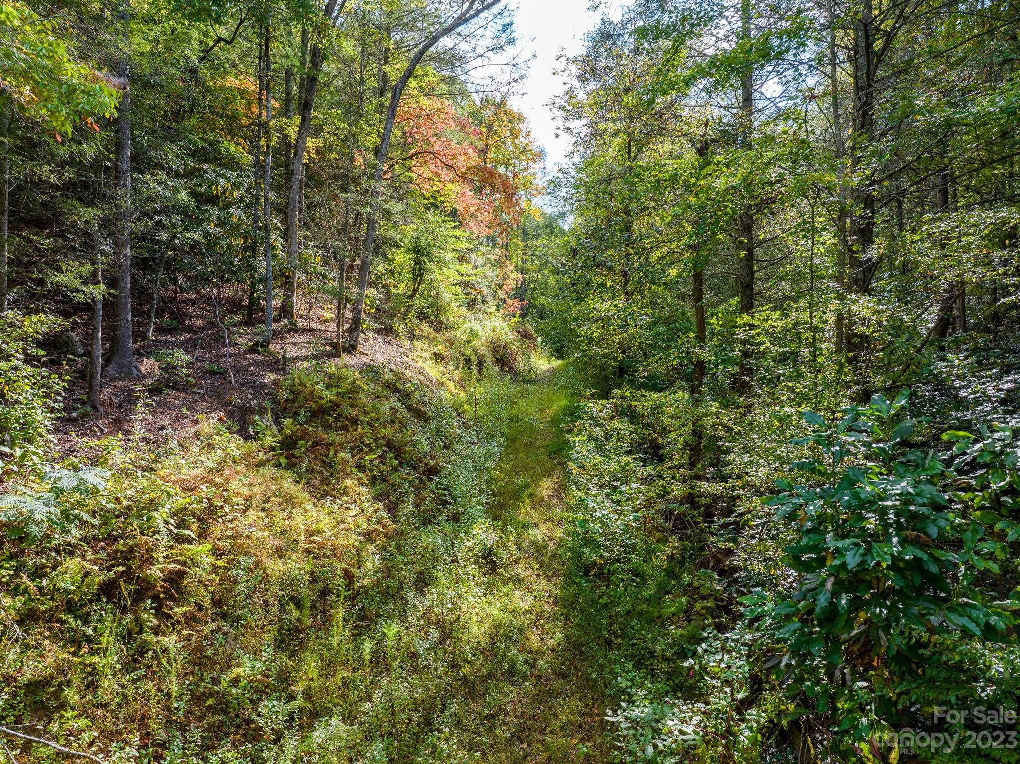 0 Roby Martin Road Lenoir, NC 28645 - Photo 7 of 37 Gallery Image 7