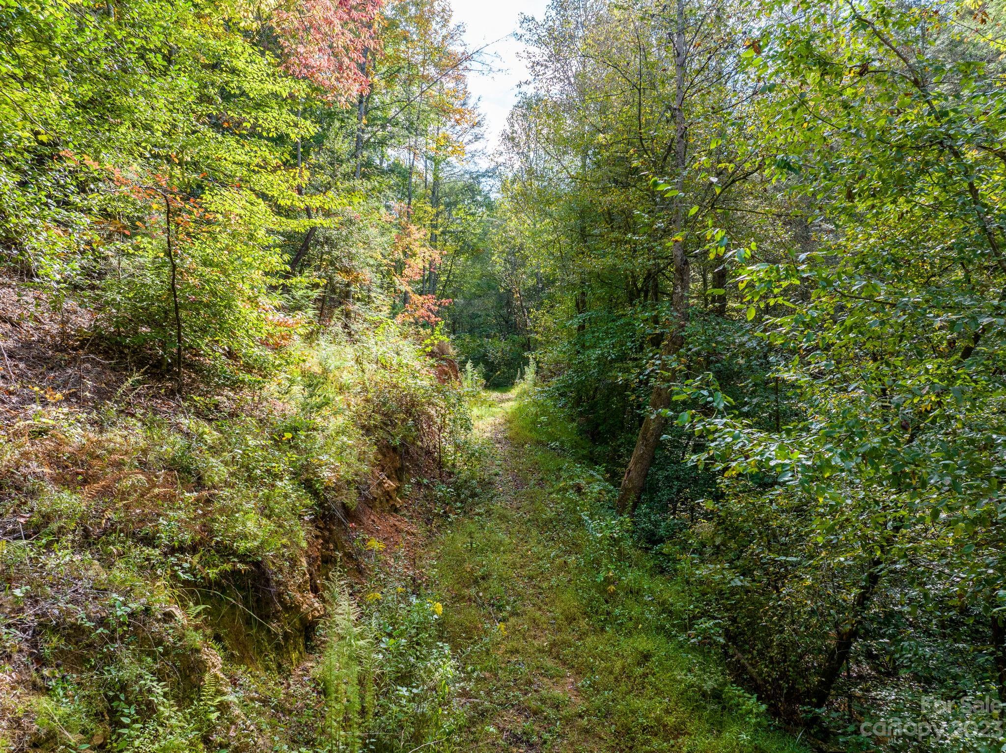 0 Roby Martin Road Lenoir, NC 28645 - Photo 8 of 37 Gallery Image 8