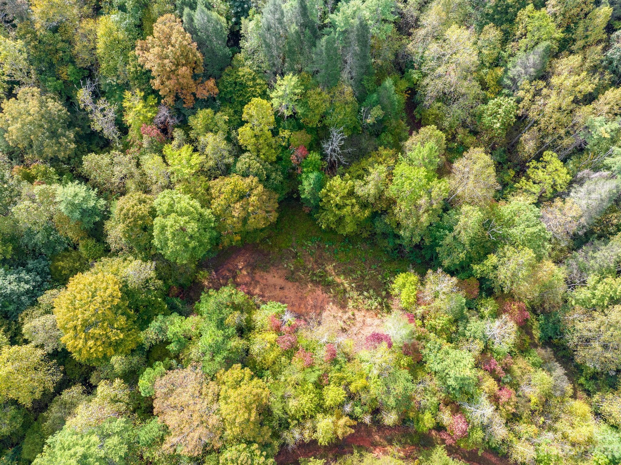 0 Roby Martin Road Lenoir, NC 28645 - Photo 10 of 37 Gallery Image 10