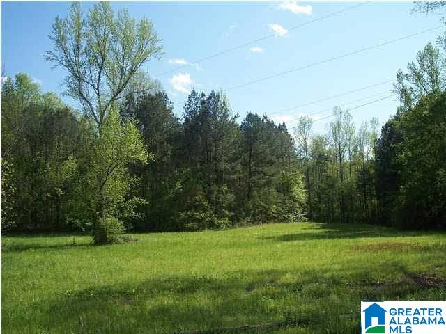 3670 Warrior Jasper Road, Unit 19 AC Warrior, AL 35180 - Photo 1 of 2