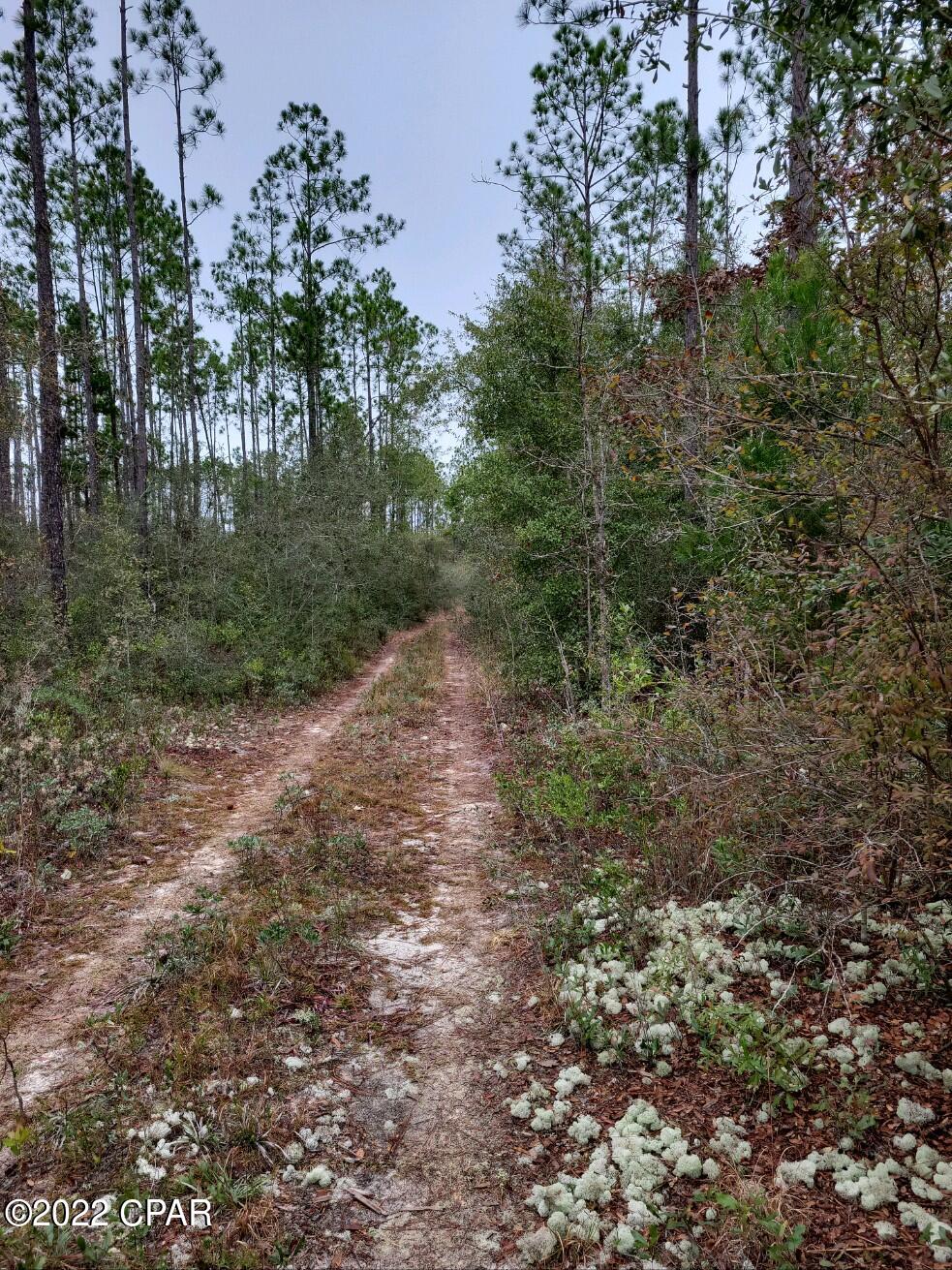 13617 Rollohome Road Fountain, FL 32438 - Photo 1 of 5 Gallery Image 1
