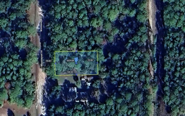 an outdoor view of garden