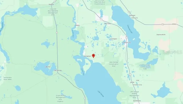 a view of a yard with large trees