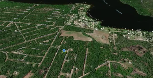 $11,500 | 138 Mosswood Street, Georgetown, FL 32139