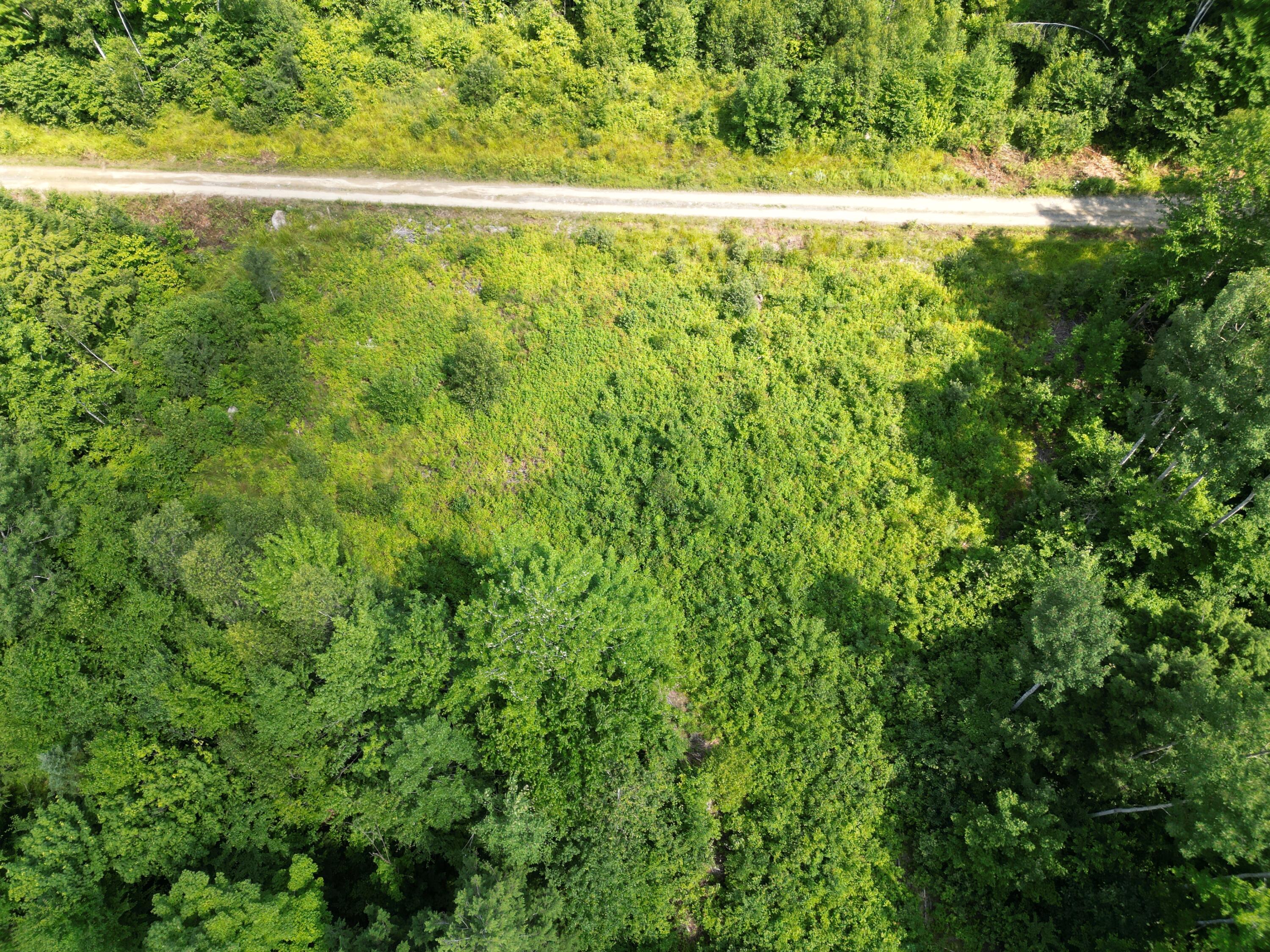 Lot 5 Moores Road Springfield, ME 04487 - Photo 17 of 18 DJI_0967