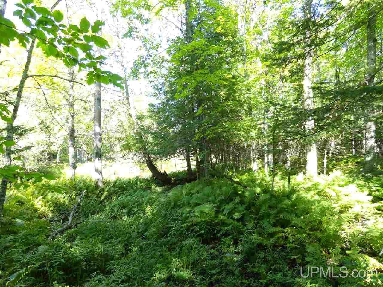 6386 Co Rd 432 Rock, MI 49880 - Photo 26 of 39