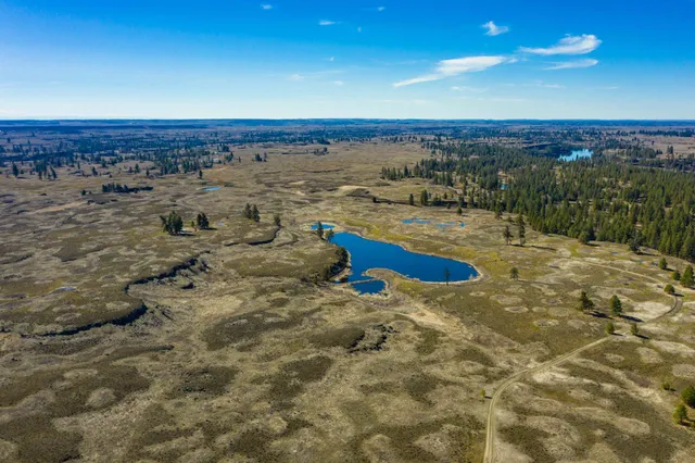 $99,000 | Lot 5 Unassigned Address, Sprague, WA 99032