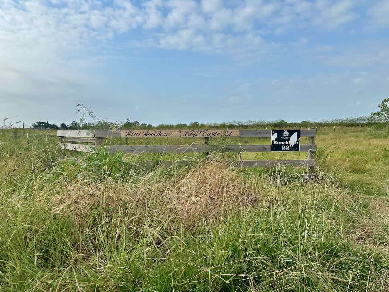 6742 Eagle Road Anahuac, TX 77514 - Photo 12 of 13 a view of a lake with houses in the back