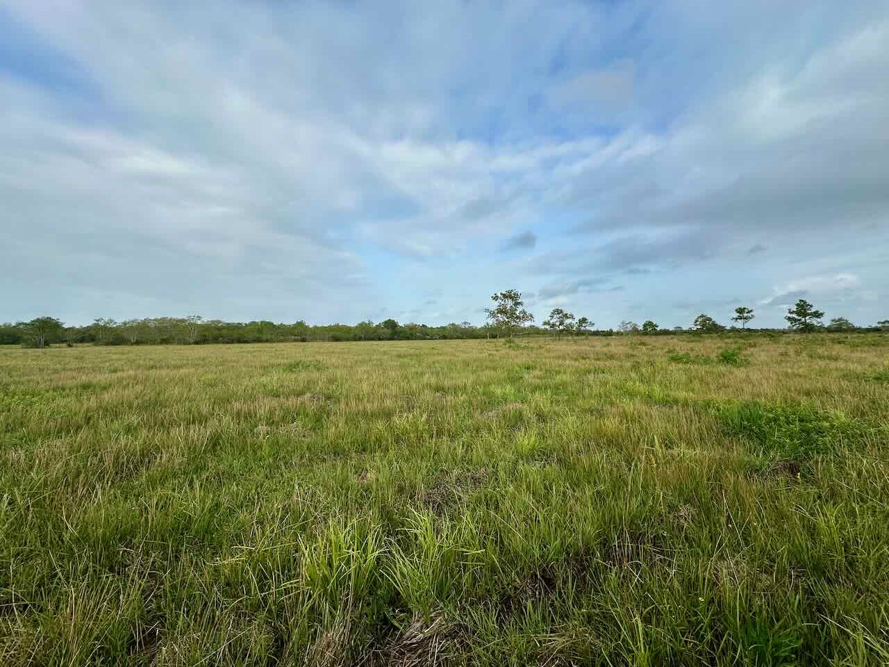 6742 Eagle Road Anahuac, TX 77514 - Photo 2 of 13 a view of a large body of water and lots of green space