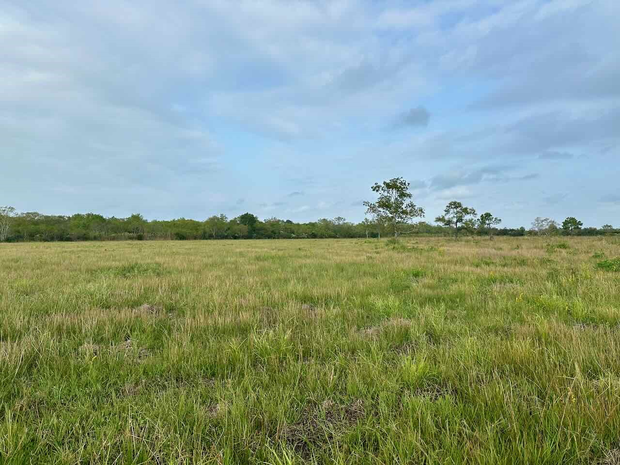 6742 Eagle Road Anahuac, TX 77514 - Photo 4 of 13 a view of a lake with a big yard