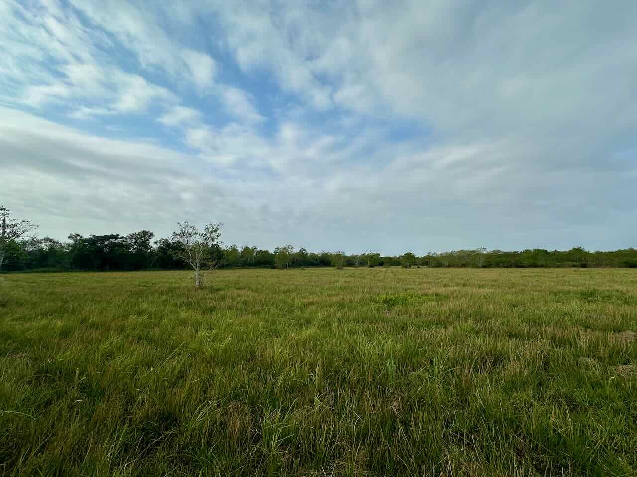 6742 Eagle Road Anahuac, TX 77514 - Photo 5 of 13 a view of an outdoor space and a yard