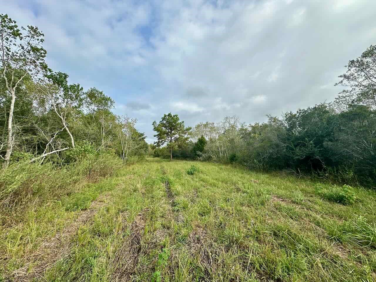 6742 Eagle Road Anahuac, TX 77514 - Photo 6 of 13 a view of a garden
