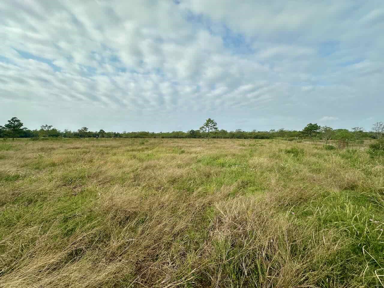 6742 Eagle Road Anahuac, TX 77514 - Photo 10 of 13 a view of an ocean and beach