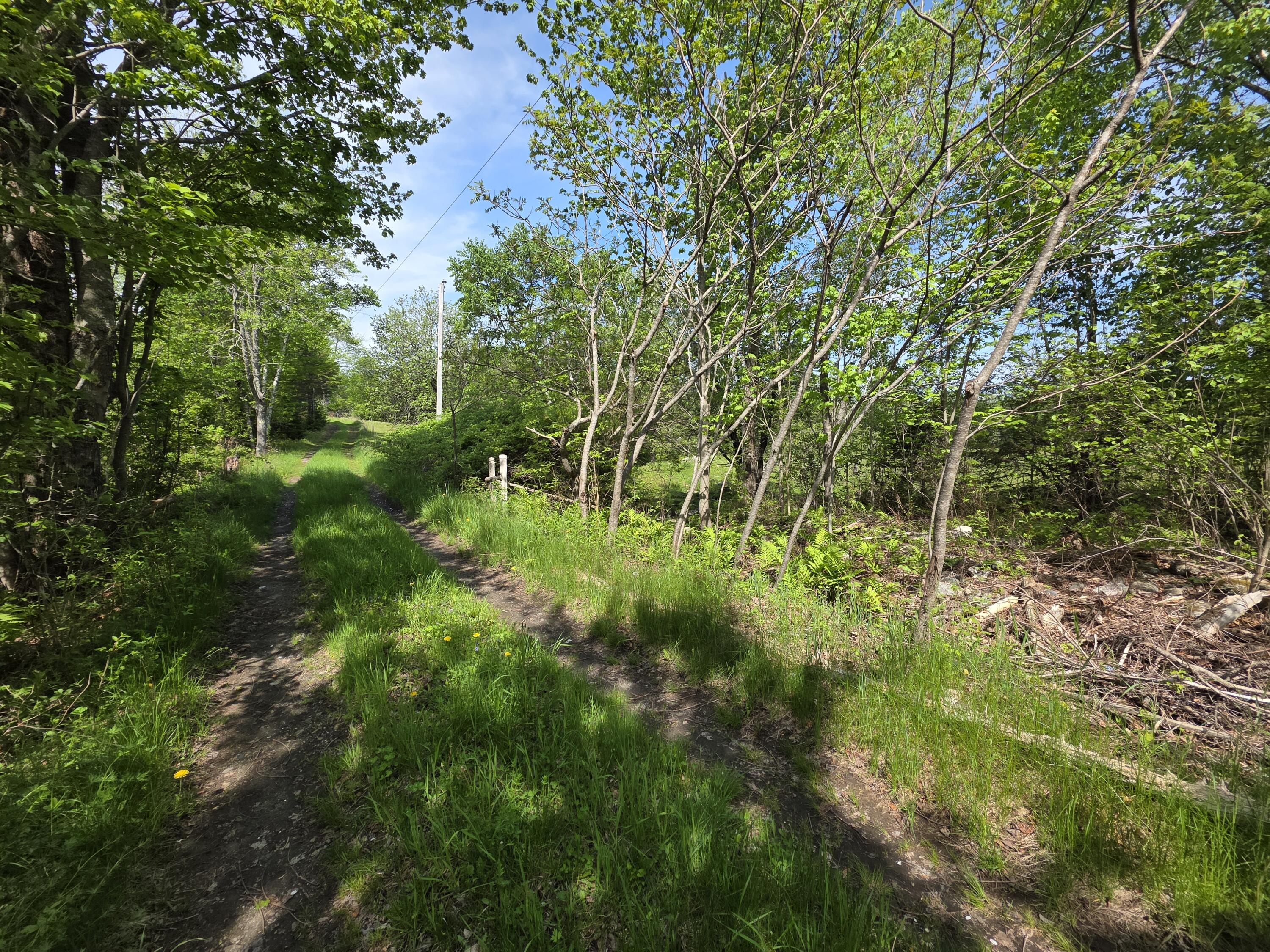 0 Morrison Road Bucksport, ME 04416 - Photo 3 of 16 20260527_100806