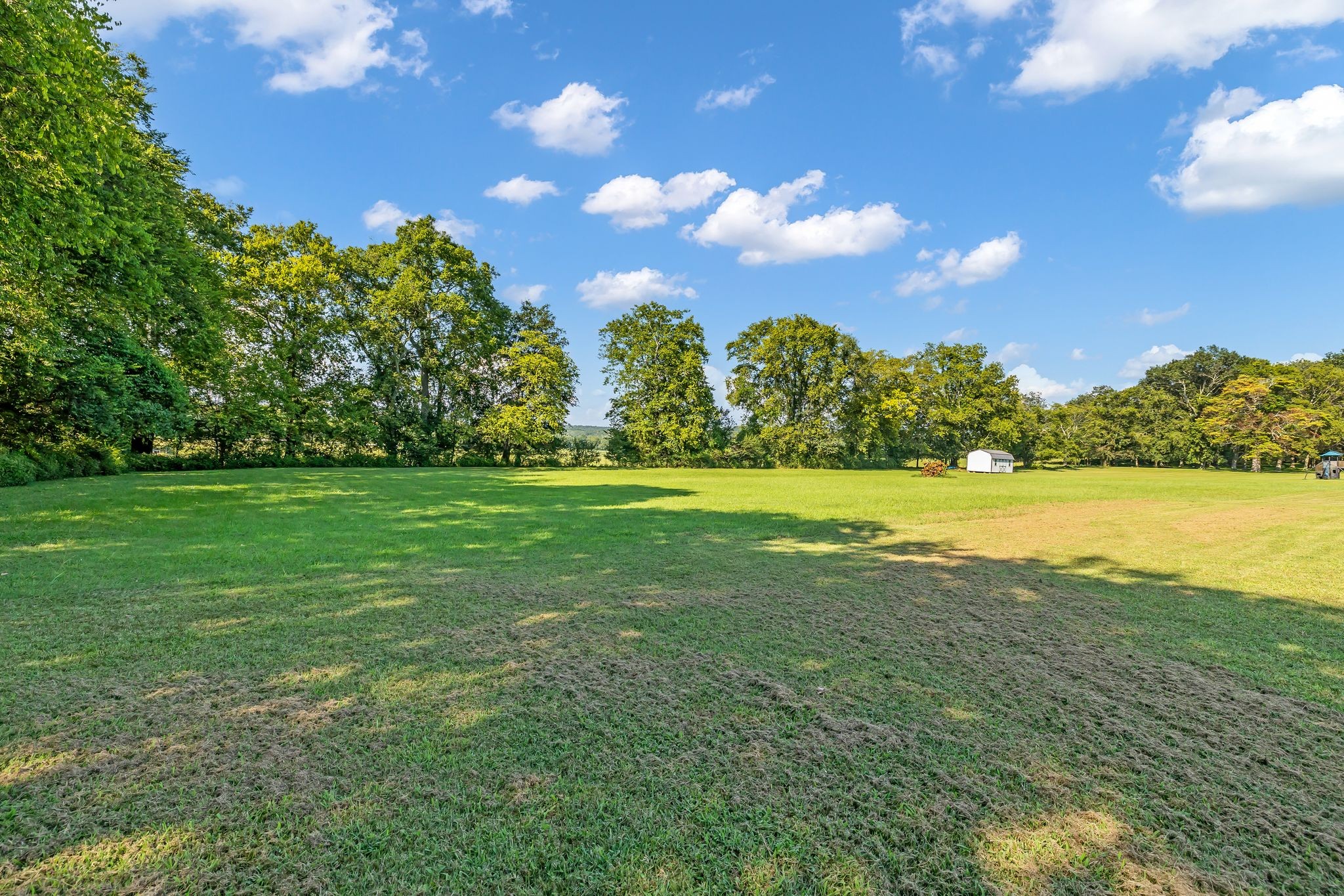 207 Sugar Tree Lane Pulaski, TN 38478 - Photo 10 of 30 a view of a green yard