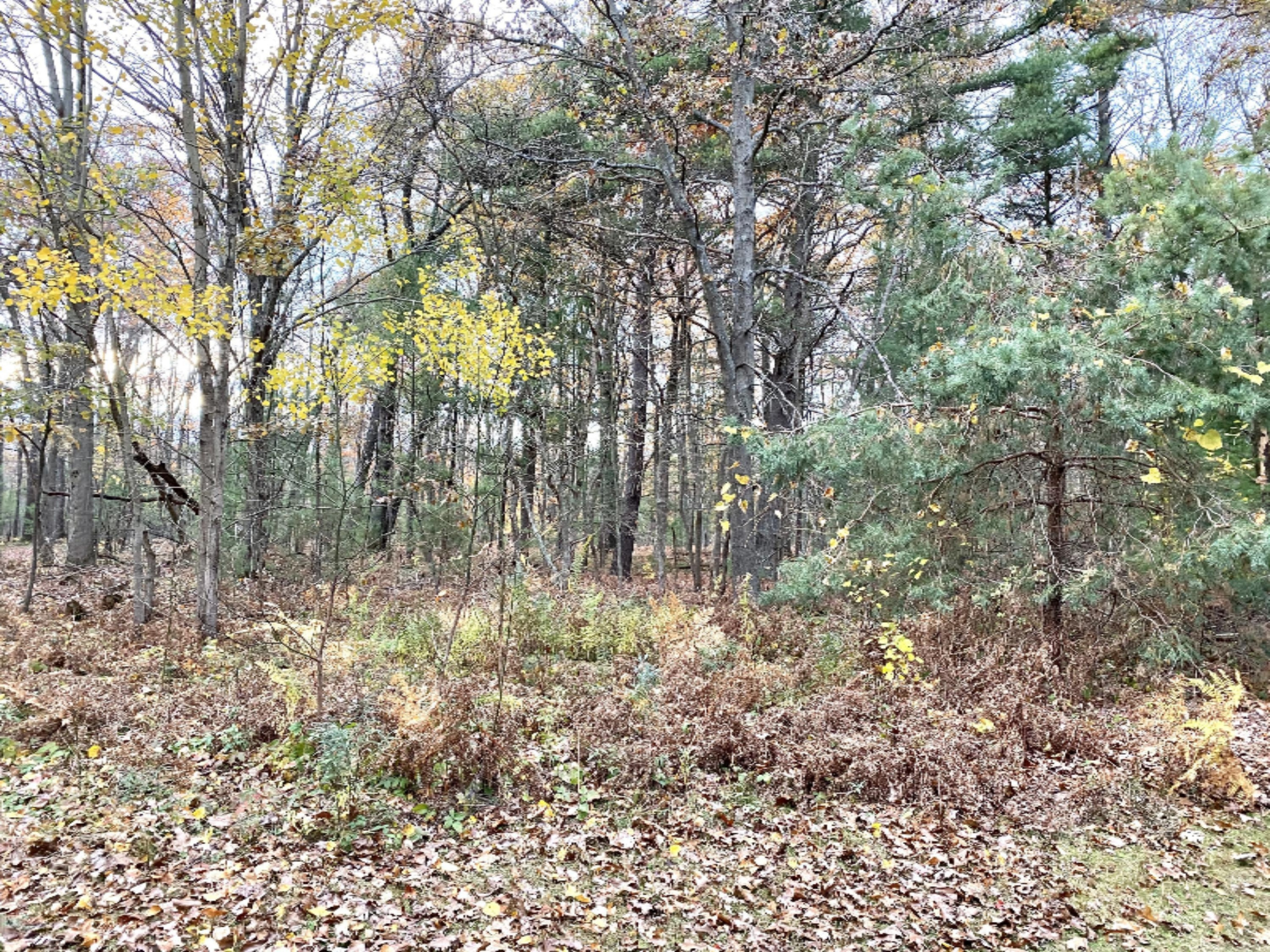 2059 Simonelli Road Muskegon, MI 49445 - Photo 21 of 36 IMG_E2756