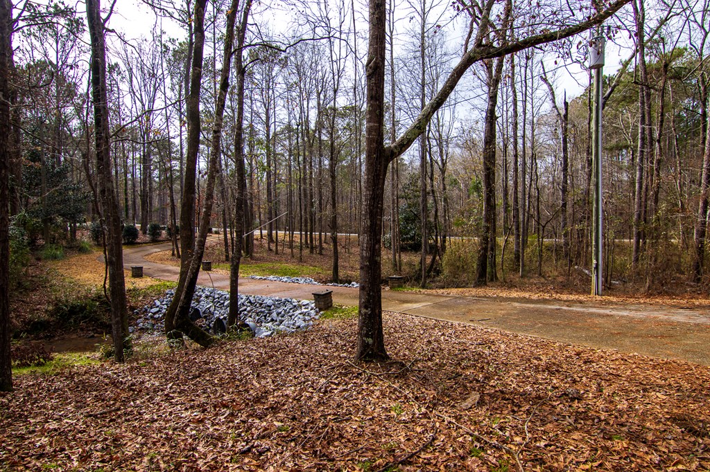 454 Plantation Creek Road Fortson, GA 31808 - Photo 56 of 60 Gallery Image 56