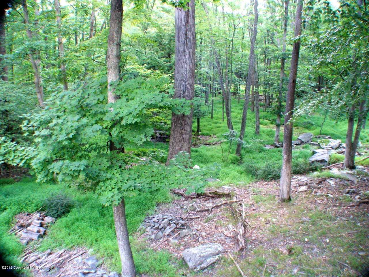 2793-19a Decker Road Bushkill, PA 18324 - Photo 30 of 30 DSCF5128 Rear Yard Aug 27 2012