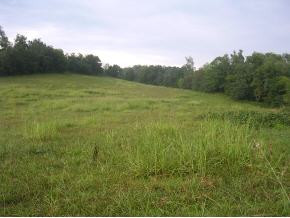 Tbd Mendota Road, Unit 12 Mendota, VA 24270 - Photo 2 of 8 Photo 2