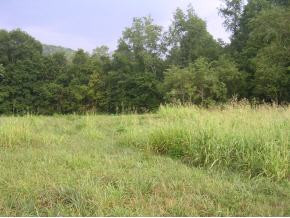 Tbd Mendota Road, Unit 12 Mendota, VA 24270 - Photo 4 of 8 Photo 4