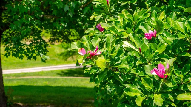 $1,989,500 | 1960 Highway V Owensville Mo 65066, Owensville, MO 65066