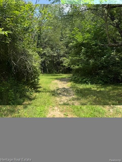 445 Mack Road Leonard, MI 48367 - Photo 40 of 41 Wooded property featuring a natural path, dense foliage, and open sky