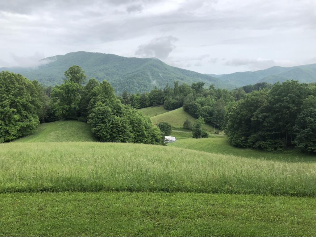 150 Jake Tipton Road Erwin, TN 37650 - Photo 7 of 7 Photo 7