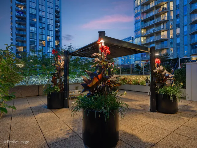 a potted plant sitting in front of a building