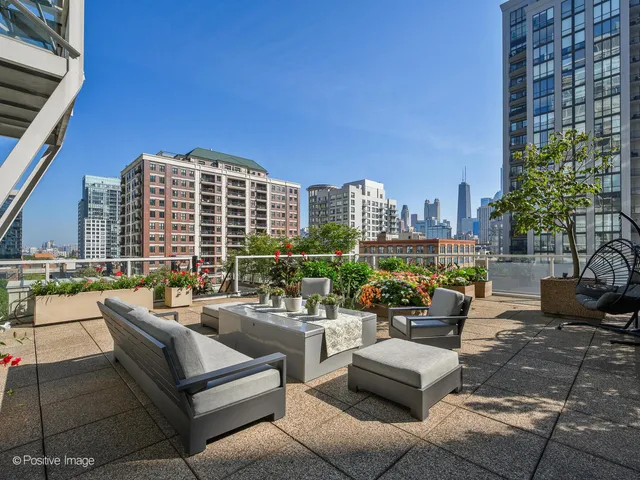 a view of a patio with couches and a potted plant on a table