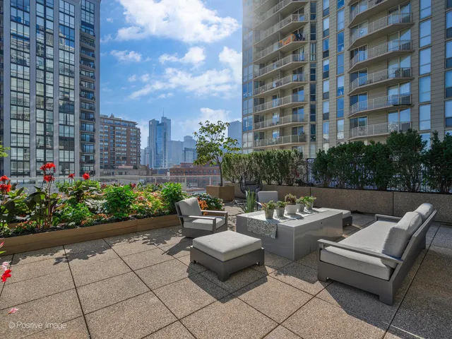 a view of a patio with couches and a potted plant