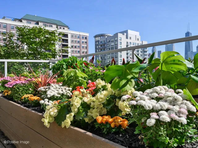 a bunch of flowers in a yard