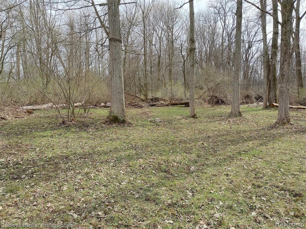 Vl Rattle Run Road St. Clair, MI 48079 - Photo 16 of 45 Gallery Image 16