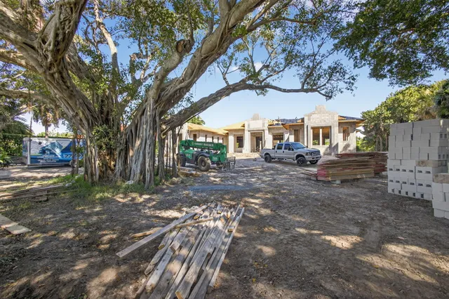 a view of large tree in front of a house
