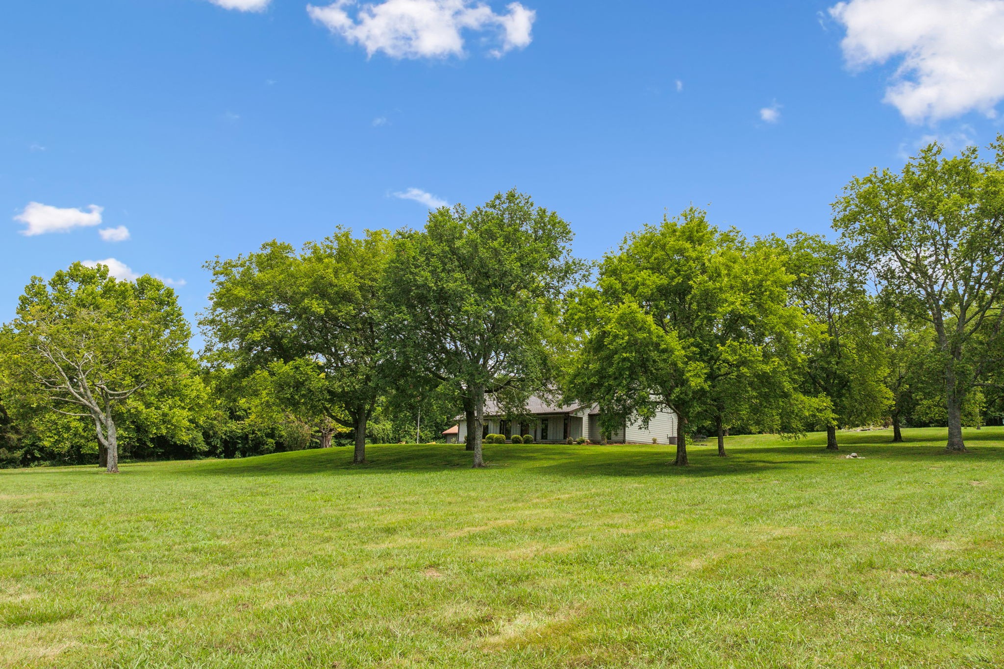 969 Trice Road Lebanon, TN 37087 - Photo 40 of 47 a view of grassy field with benches
