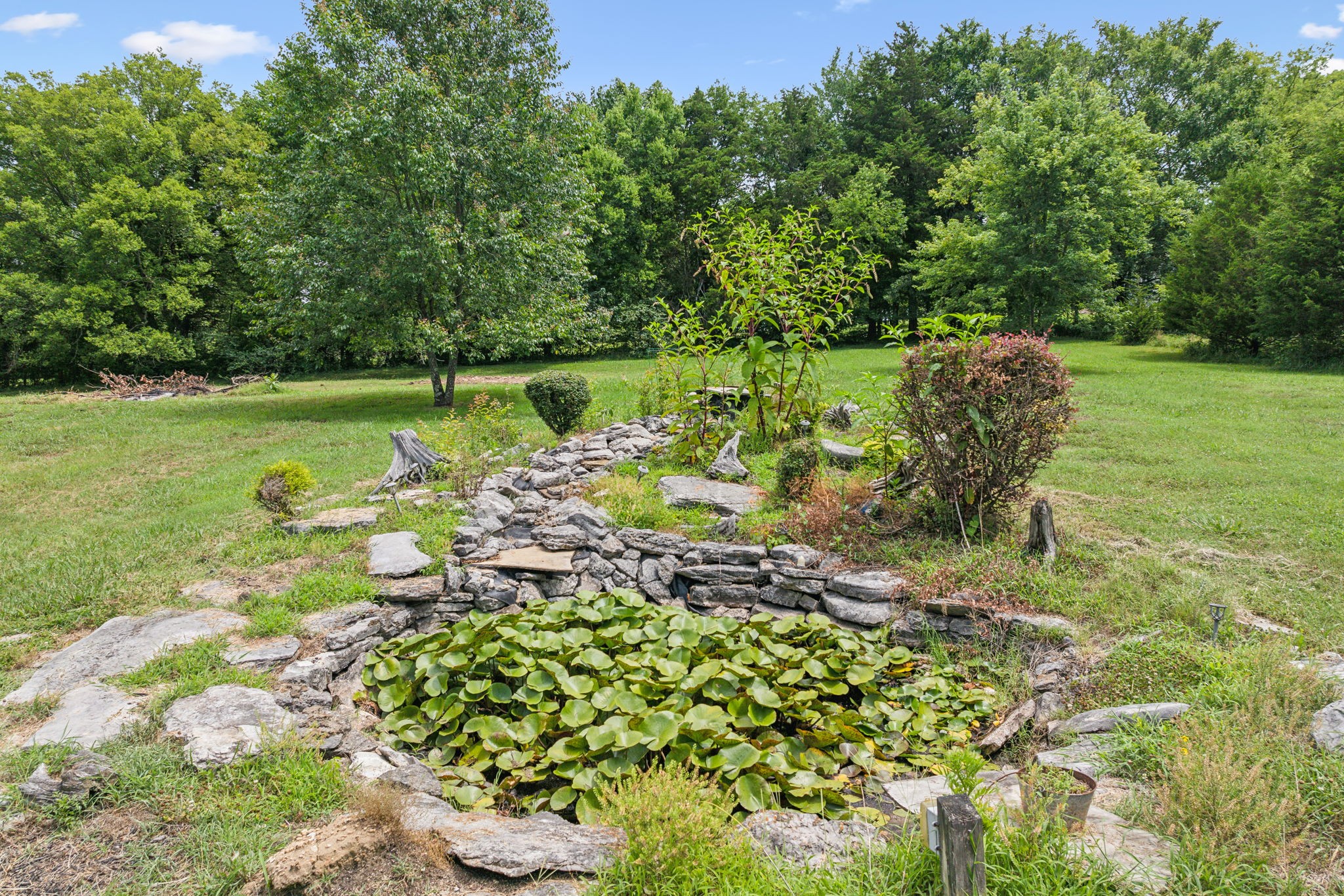 969 Trice Road Lebanon, TN 37087 - Photo 43 of 47 a view of a garden with an outdoor space