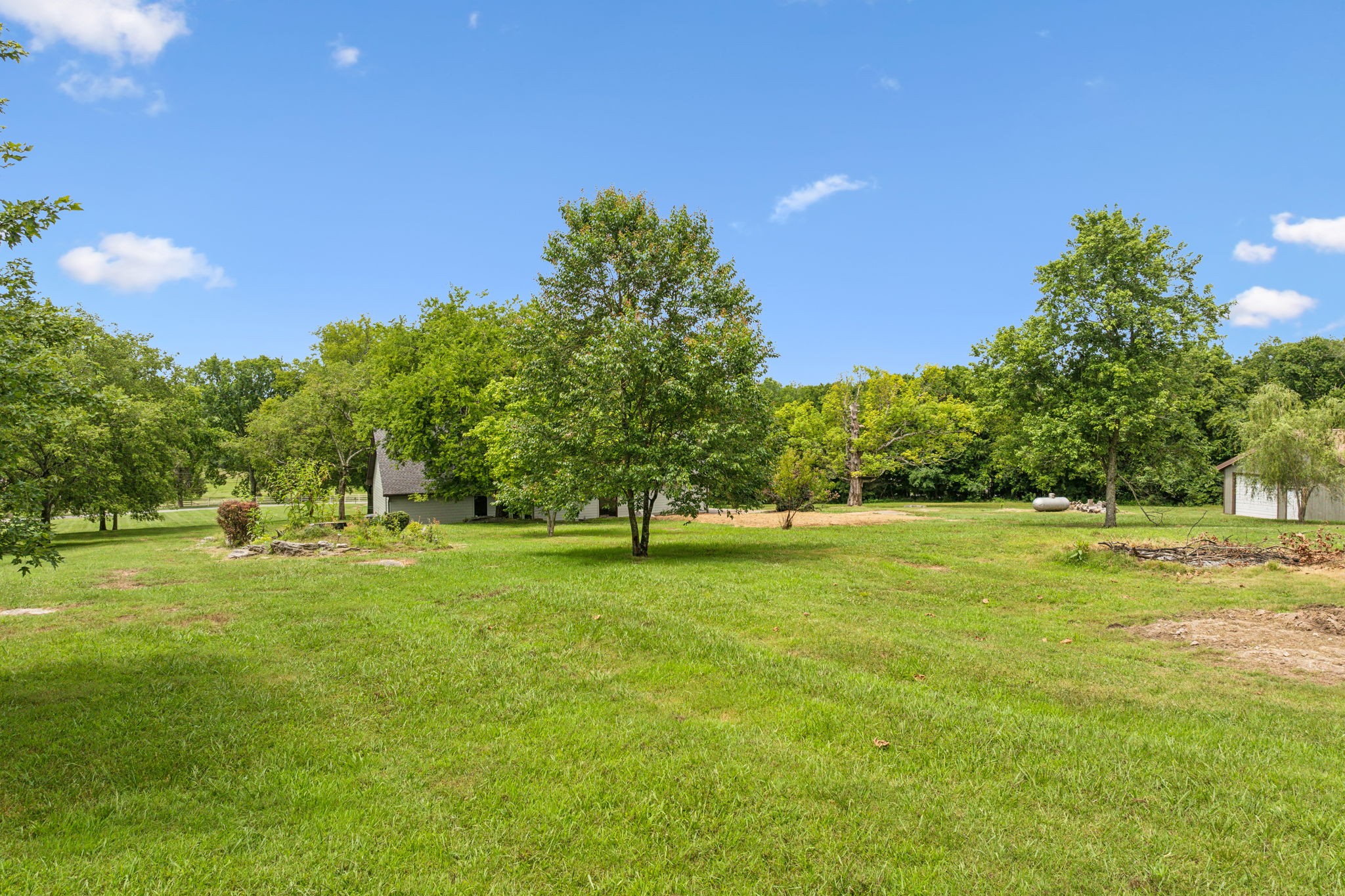 969 Trice Road Lebanon, TN 37087 - Photo 44 of 47 a view of a trees in a yard