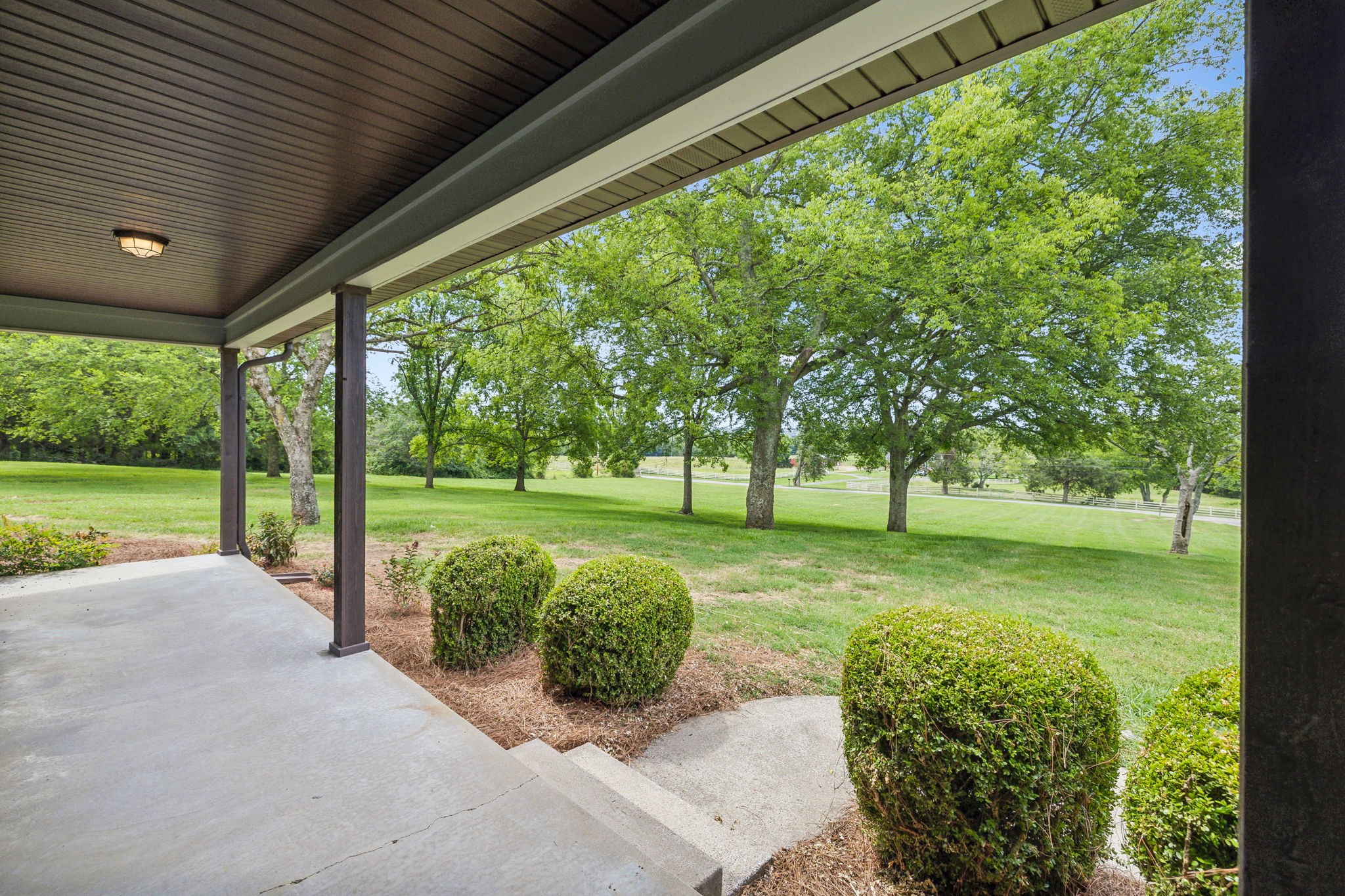 969 Trice Road Lebanon, TN 37087 - Photo 5 of 47 a view of backyard with large trees and plants