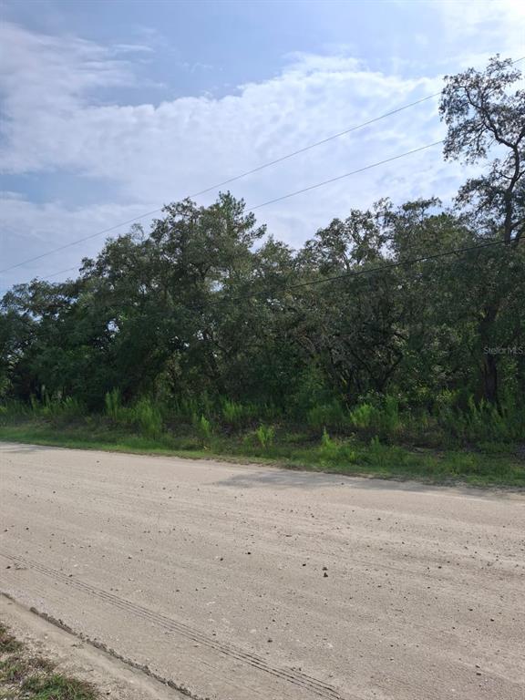 18364 Parakeet Road Weeki Wachee, FL 34614 - Photo 2 of 8
