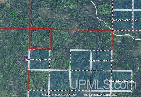 Tbd Off Craig Lake Road Michigamme, MI 49861 - Photo 23 of 23