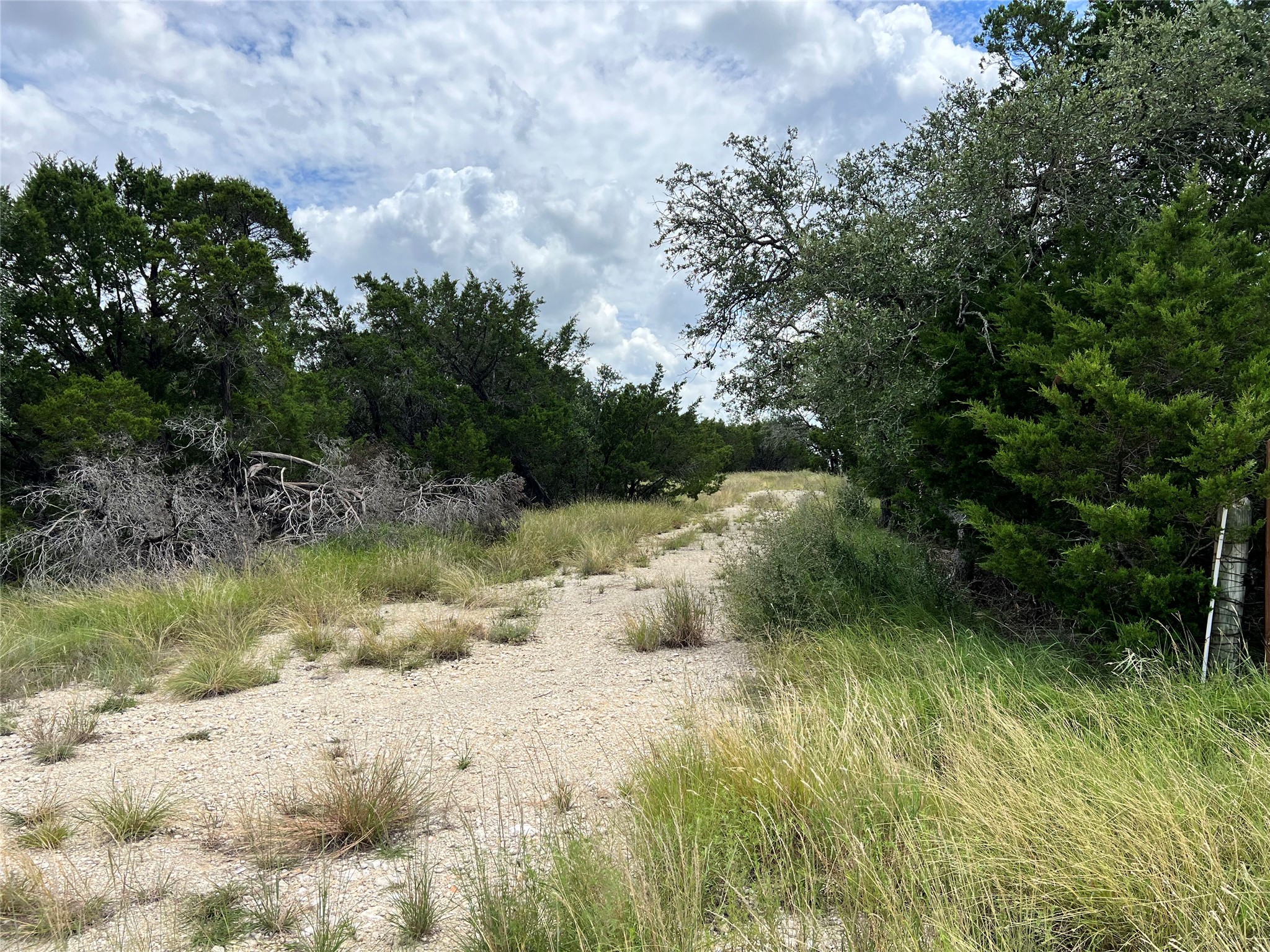 2452 Stone Creek Ranch Drive Evant, TX 76525 - Photo 15 of 19 private drive to cleared Homesite