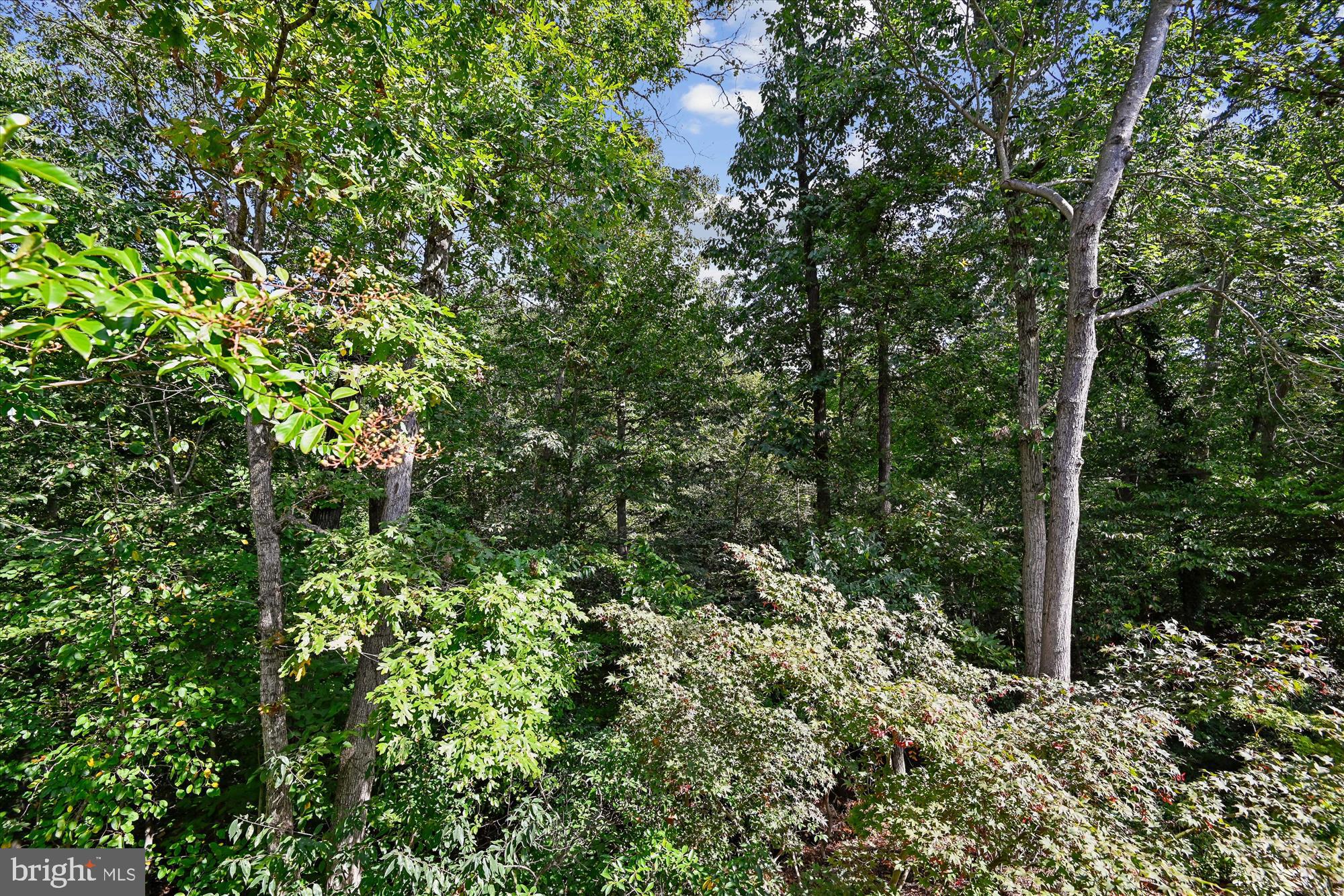 1455 Falcon Nest Court Arnold, MD 21012 - Photo 25 of 70 View