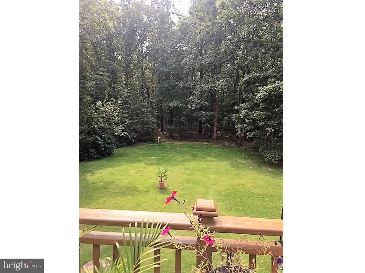 3114 Dutch Mill Road Newfield, NJ 08344 - Photo 22 of 25 Back Yard