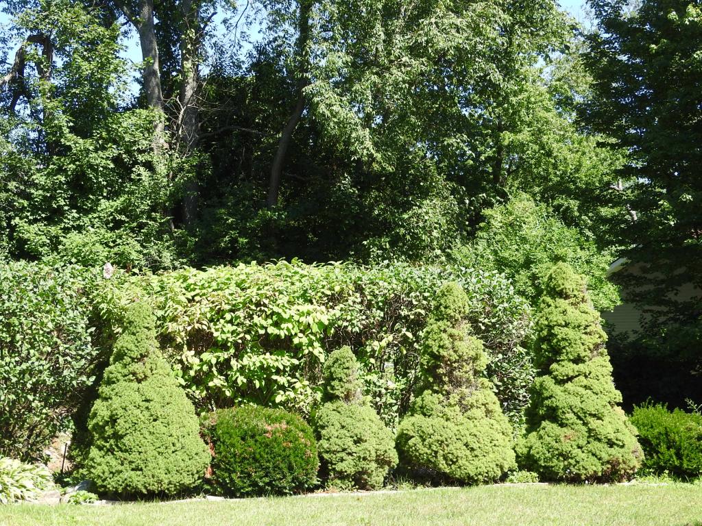 10 Lamontagne Lane Rutland, VT 05701 - Photo 8 of 29 Gallery Image 8