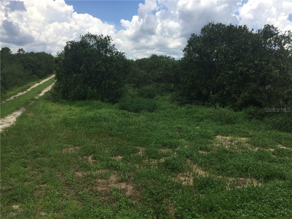 11082 Lane Park Road Tavares, FL 32778 - Photo 1 of 1 Entrance to Property