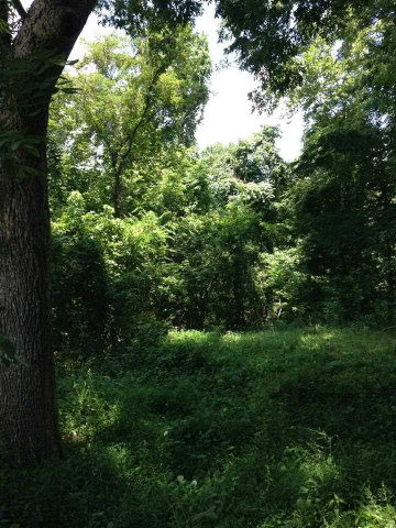 115 Rice Road Natchez, MS 39120 - Photo 1 of 1 Main View